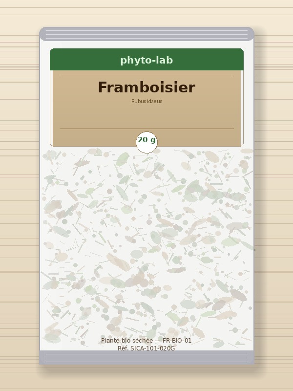 Sachet Framboisier 20g